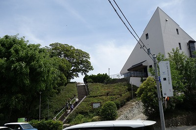 Sample